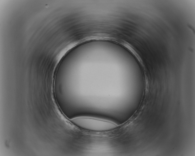 X0000103460861200809121056