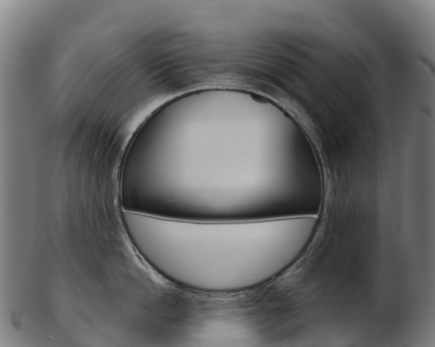 X0000103460862200809121056
