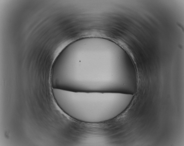 X0000103460863200809121056