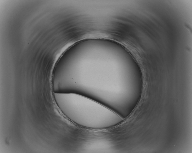 X0000103460864200809121056