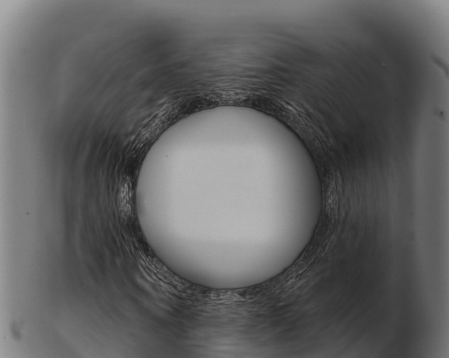 X0000103460866200809121055