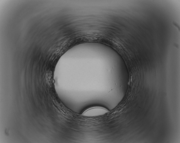 X0000103460867200809121055