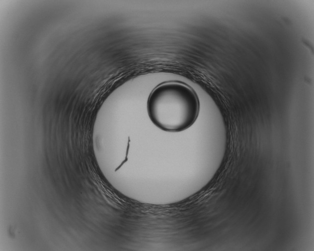 X0000103460868200809121055