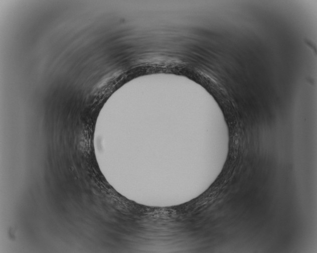 X0000103460869200809121055