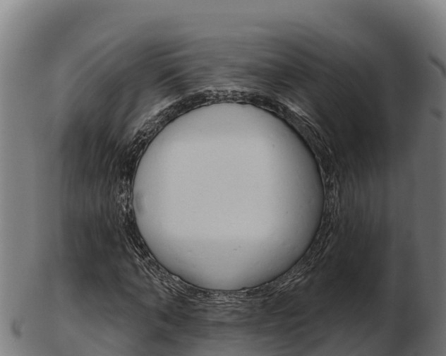 X0000103460870200809121055