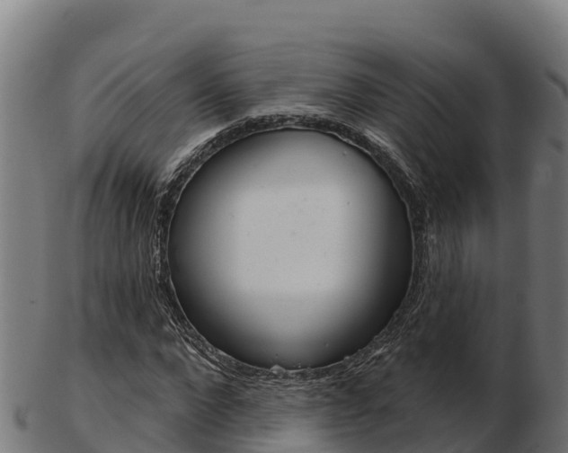X0000103460872200809121055