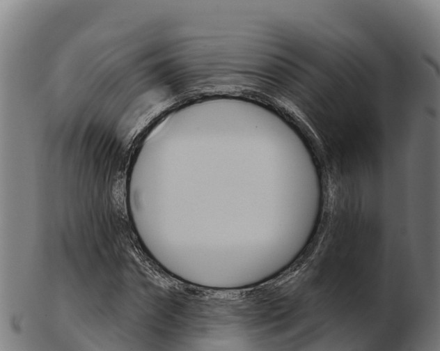 X0000103460874200809121055