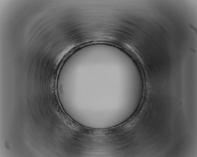 X0000103460875200809121055