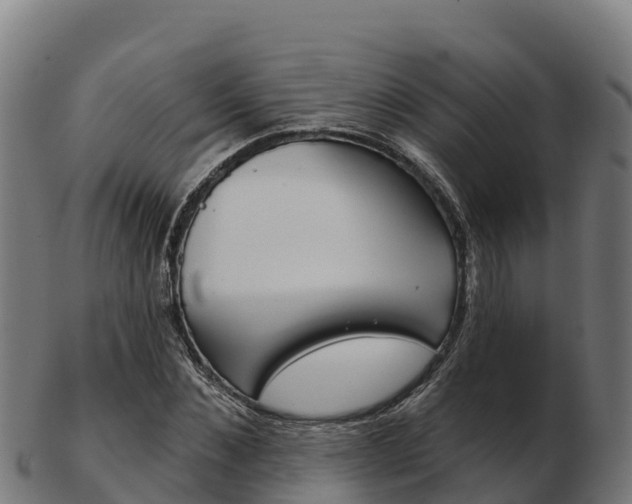 X0000103460876200809121055