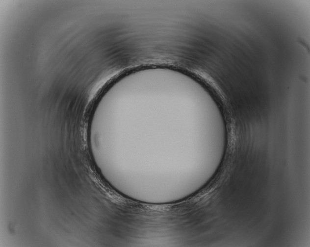 X0000103460878200809121055