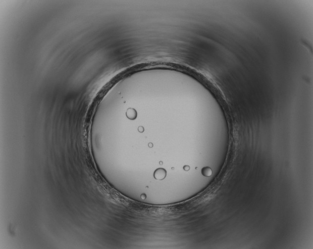 X0000103460879200809121055