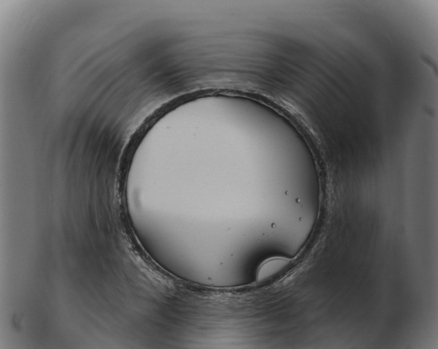 X0000103460880200809121055