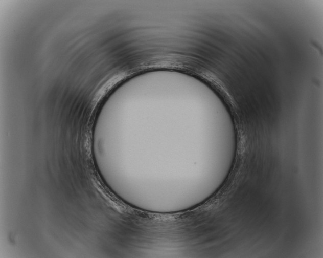 X0000103460882200809121055