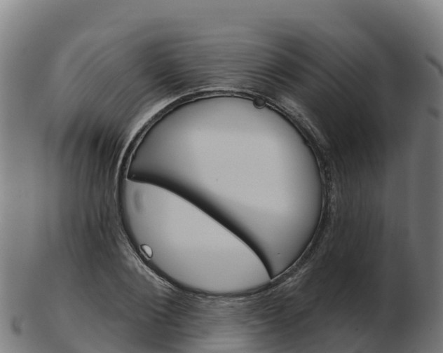 X0000103460884200809121055