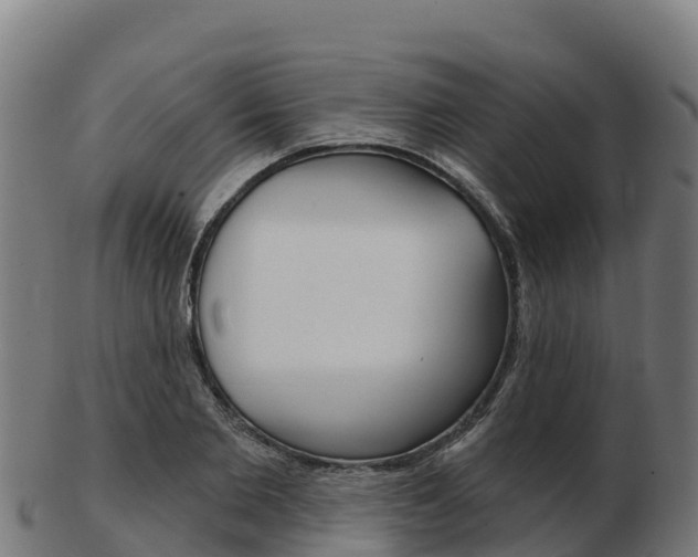 X0000103460885200809121055