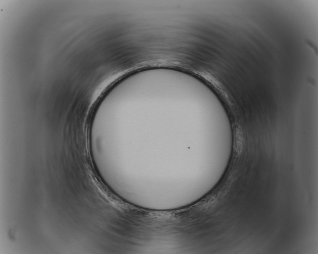 X0000103460886200809121055