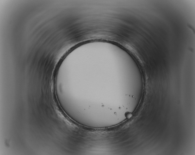 X0000103460888200809121055