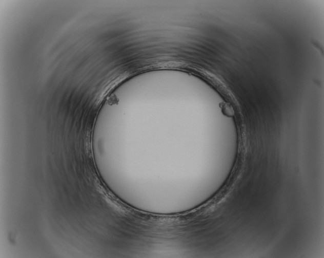X0000103460889200809121055