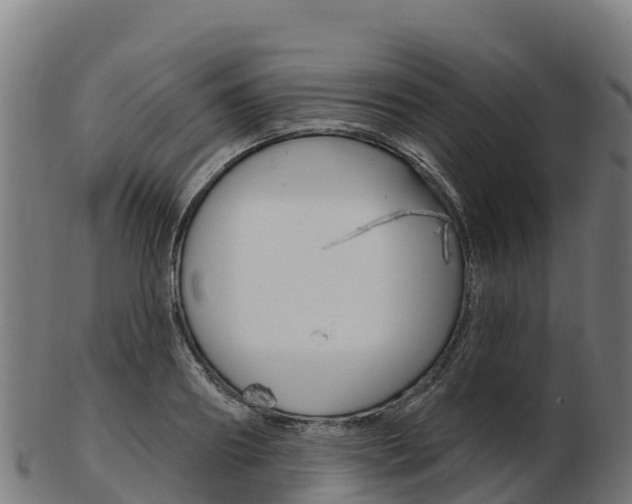 X0000103460890200809121055
