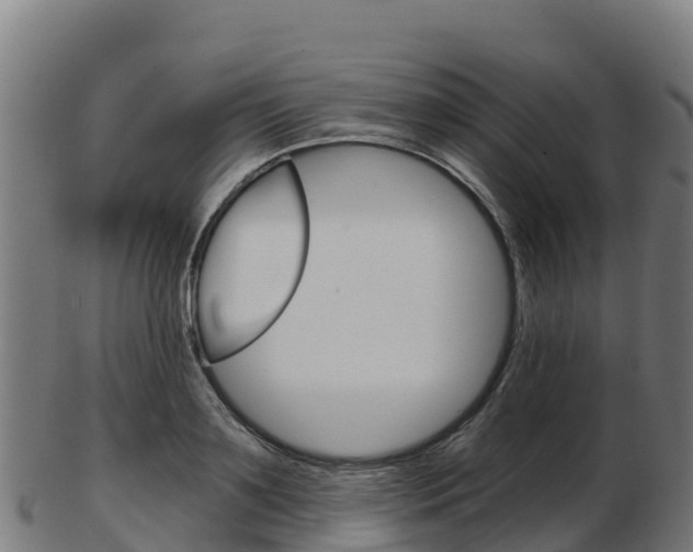 X0000103460891200809121055