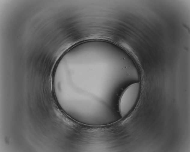 X0000103460892200809121055