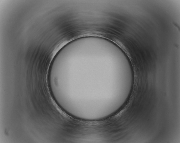 X0000103460893200809121055