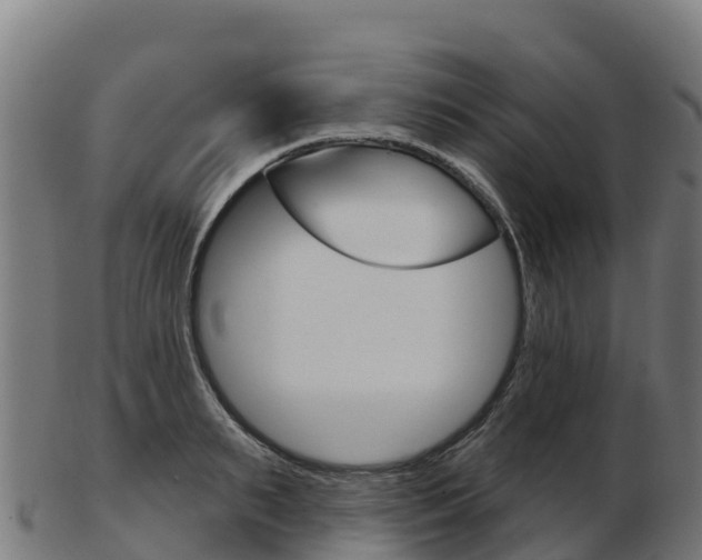 X0000103460895200809121055