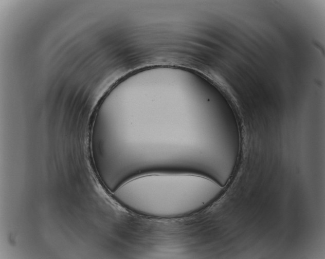 X0000103460896200809121055