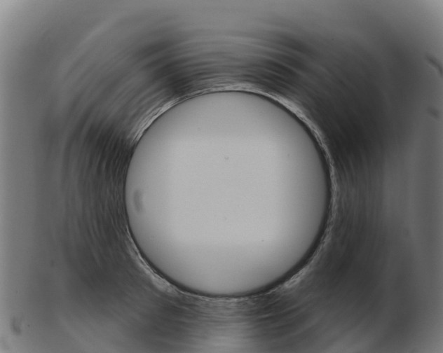 X0000103460897200809121055