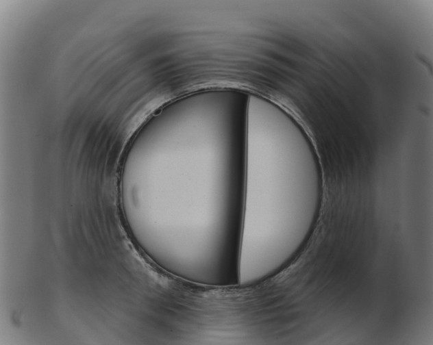 X0000103460898200809121055
