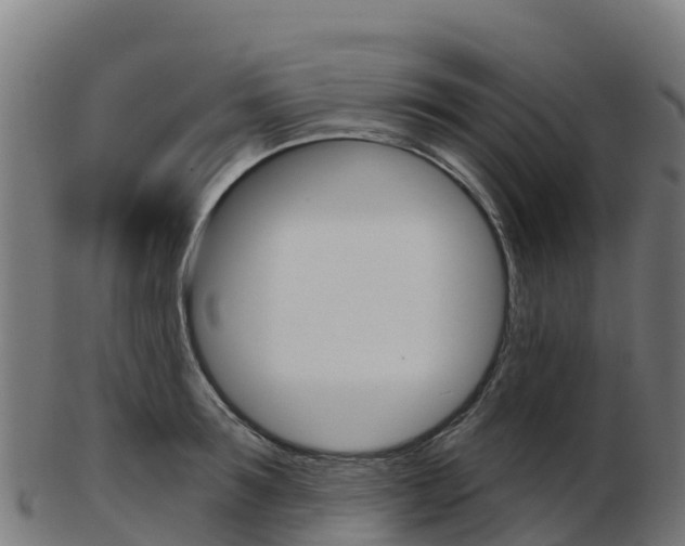 X0000103460899200809121055