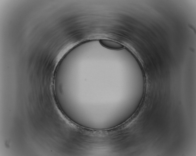 X0000103460901200809121055