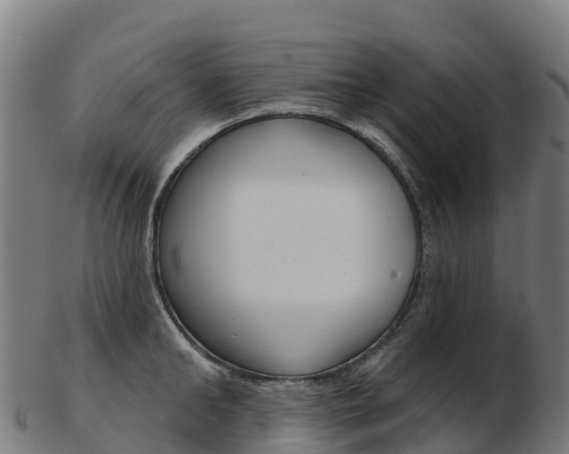 X0000103460902200809121055