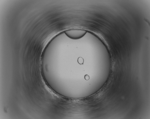 X0000103460903200809121055