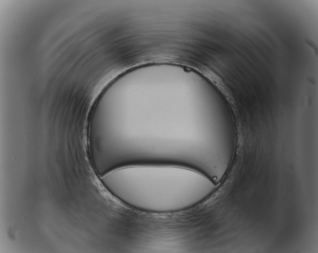 X0000103460904200809121055