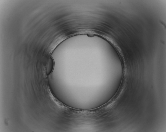 X0000103460905200809121055