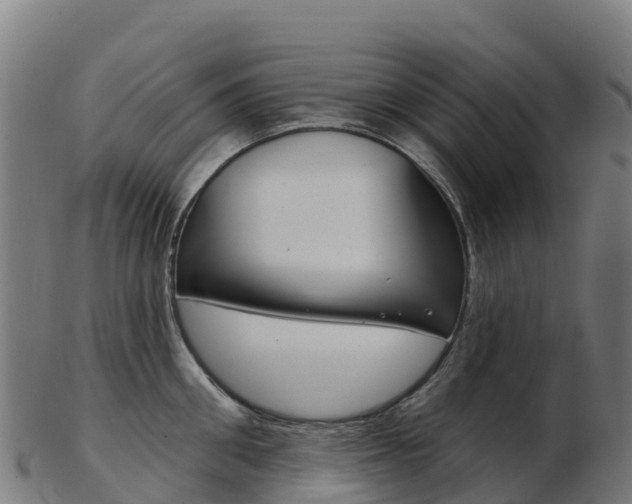 X0000103460906200809121055