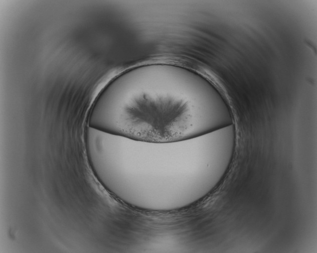 X0000103460907200809121055