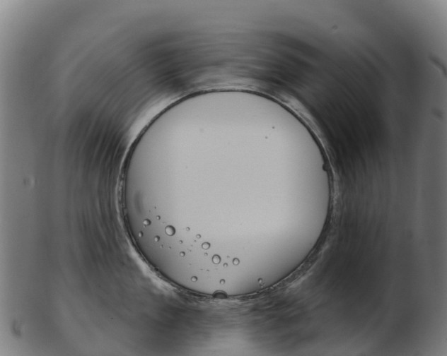 X0000103460909200809121055