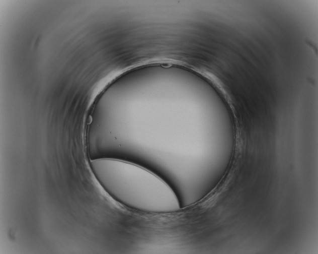 X0000103460910200809121055