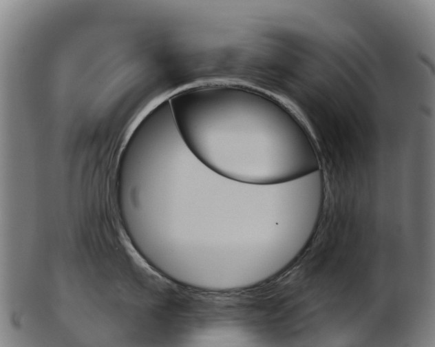 X0000103460911200809121055