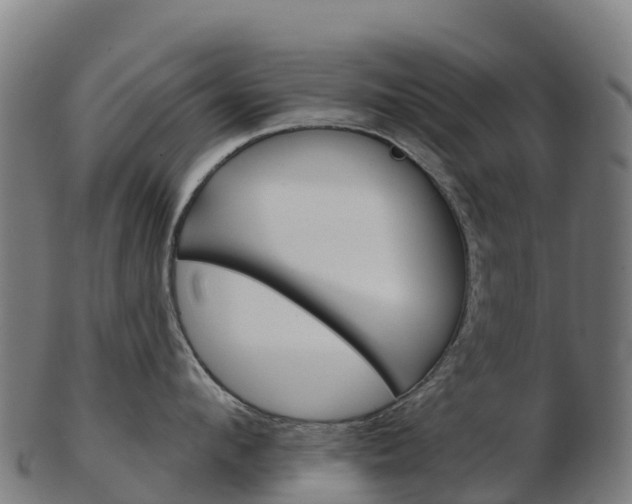 X0000103460912200809121054