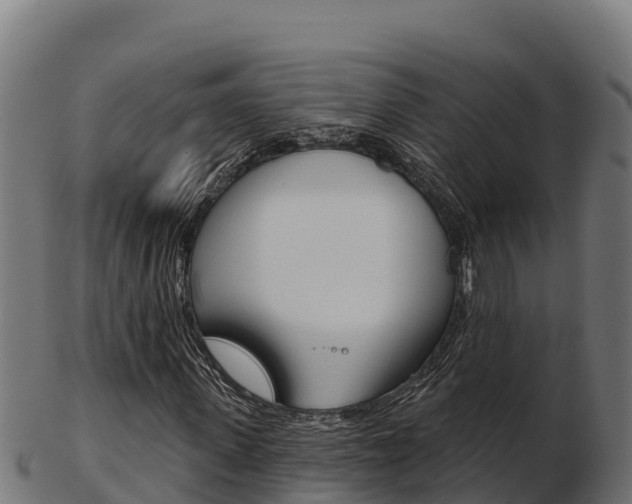X0000103460915200809121054