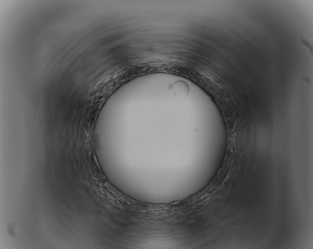 X0000103460917200809121054
