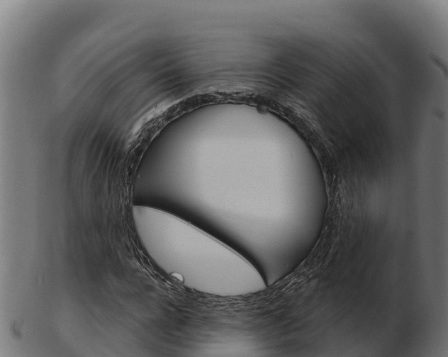 X0000103460920200809121054