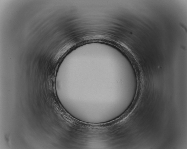 X0000103460921200809121054