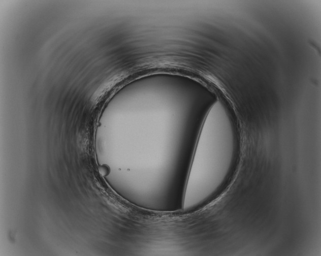 X0000103460922200809121054
