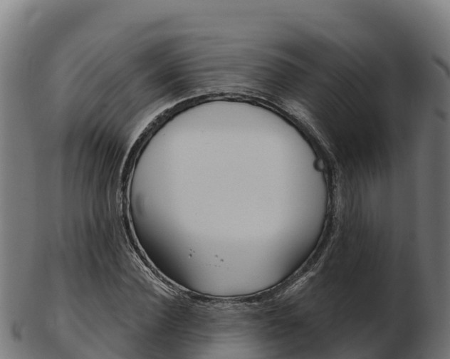 X0000103460924200809121054