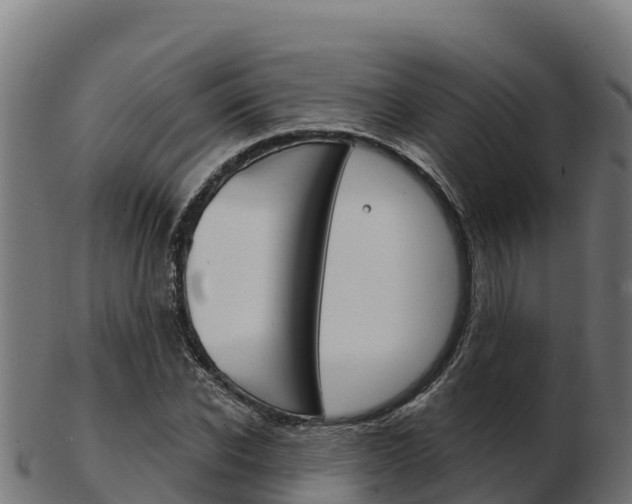 X0000103460926200809121054