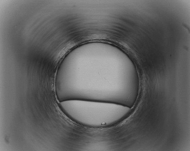 X0000103460929200809121054